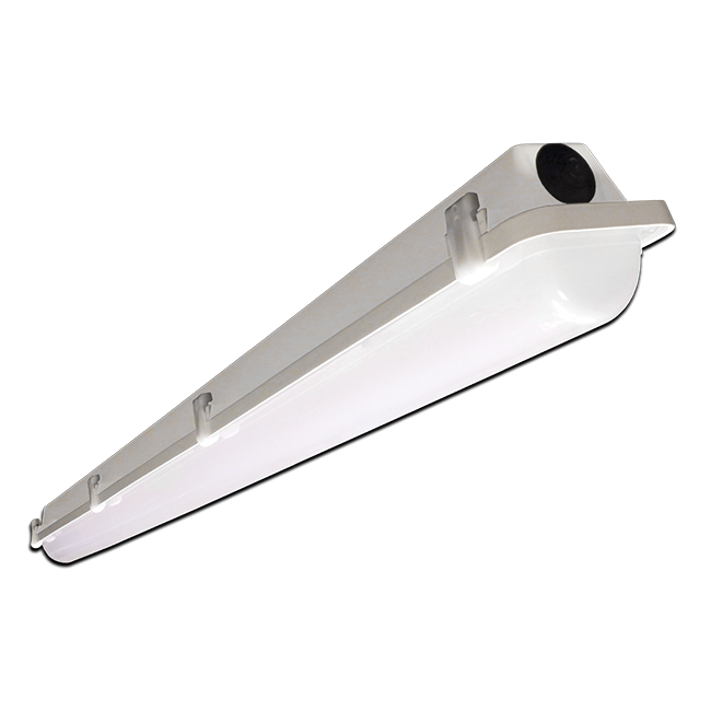 LAMAR LED, DVLFN, Outdoor and Vandal Resistant Lighting