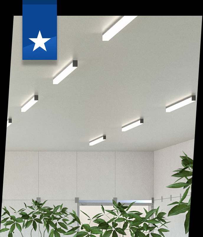 Lamar Lighting Collections:  Decorative